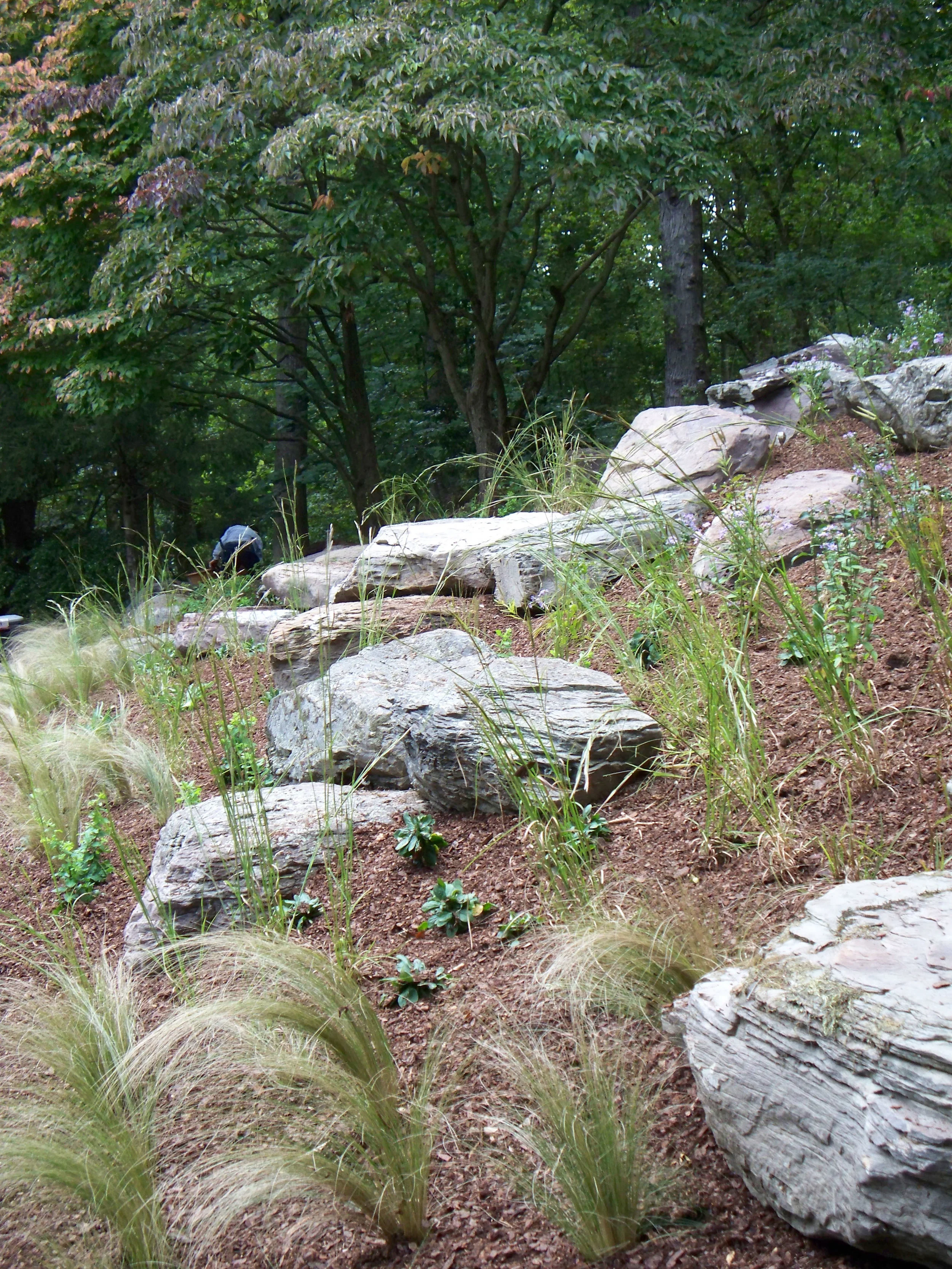 Sullivan_Slope Boulders_View to NW.jpg