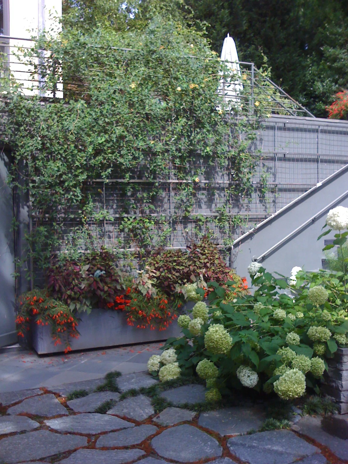Borsenik_Patio.jpg