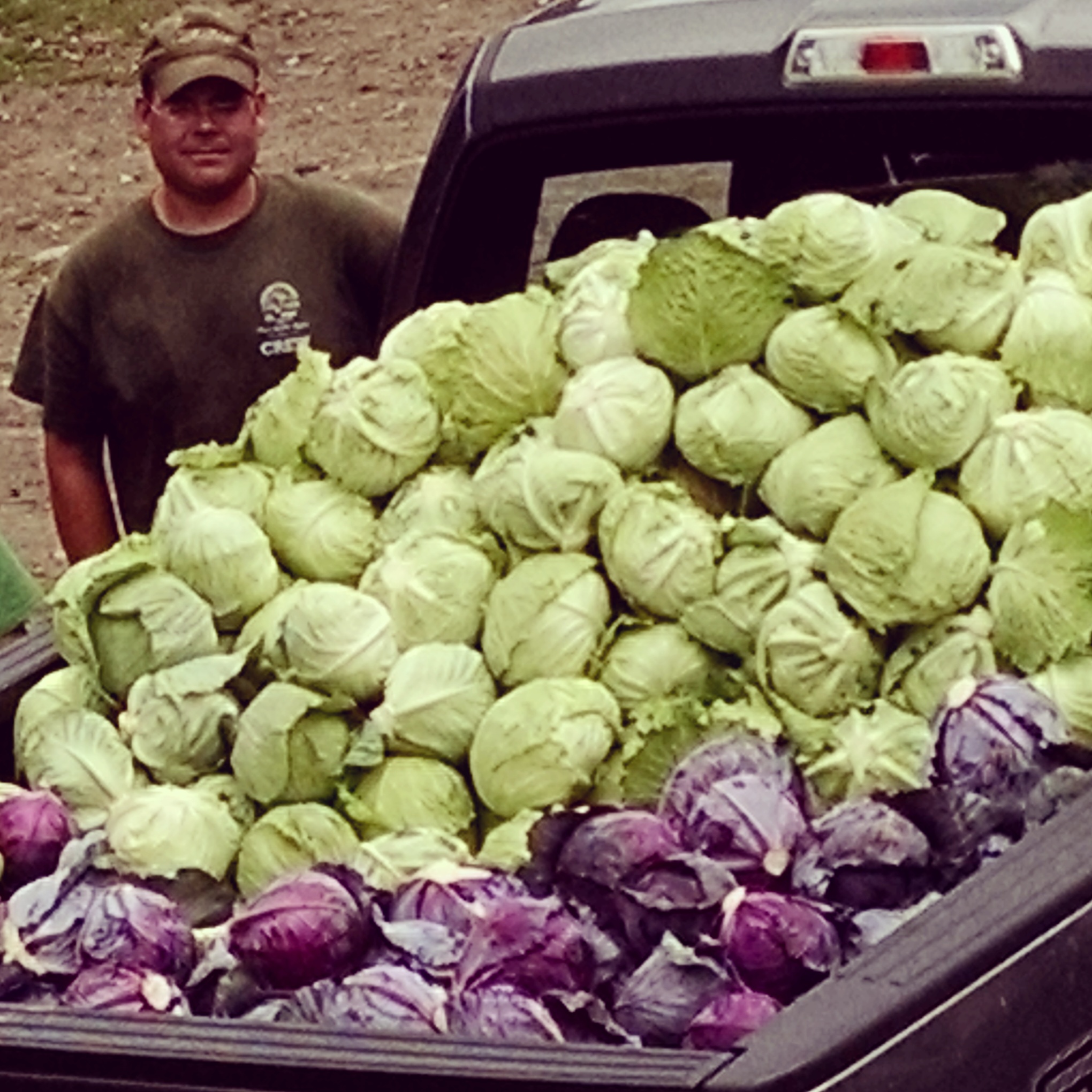 Farmer Stephen with Cabbage