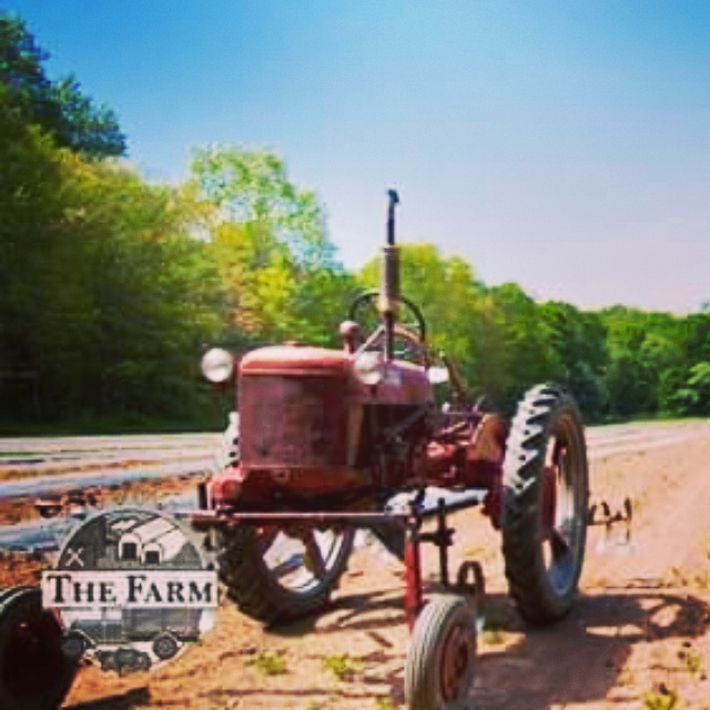 1940's cultivation tractor we still use