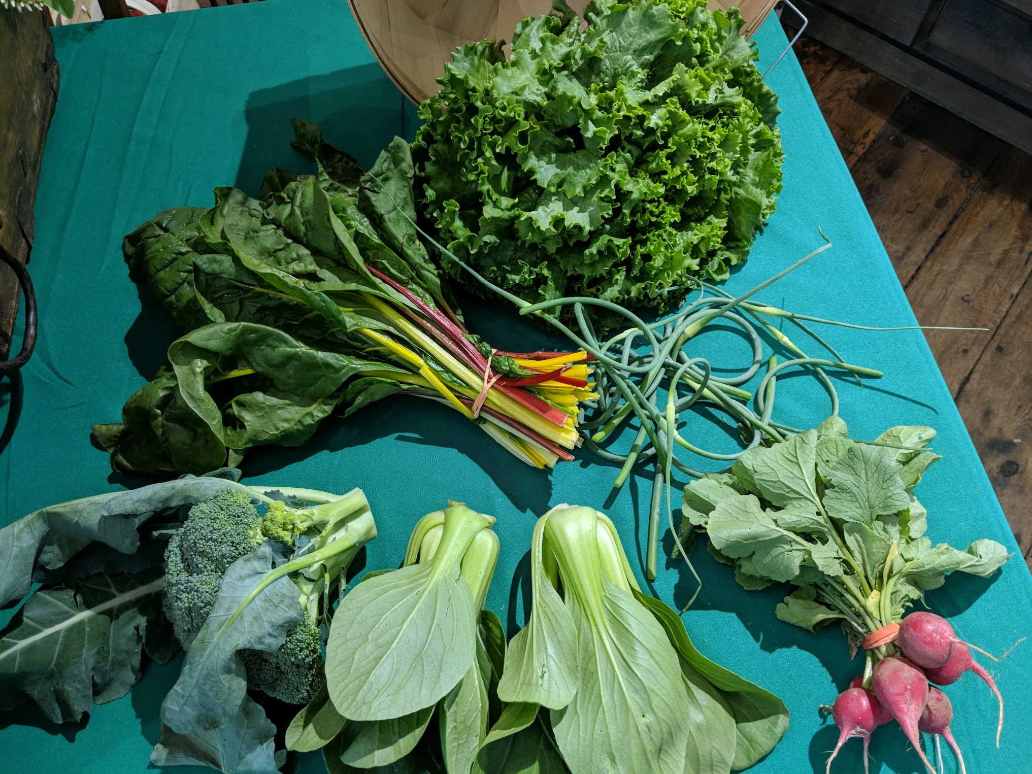 Week 2 Summer 2018 Newsletter