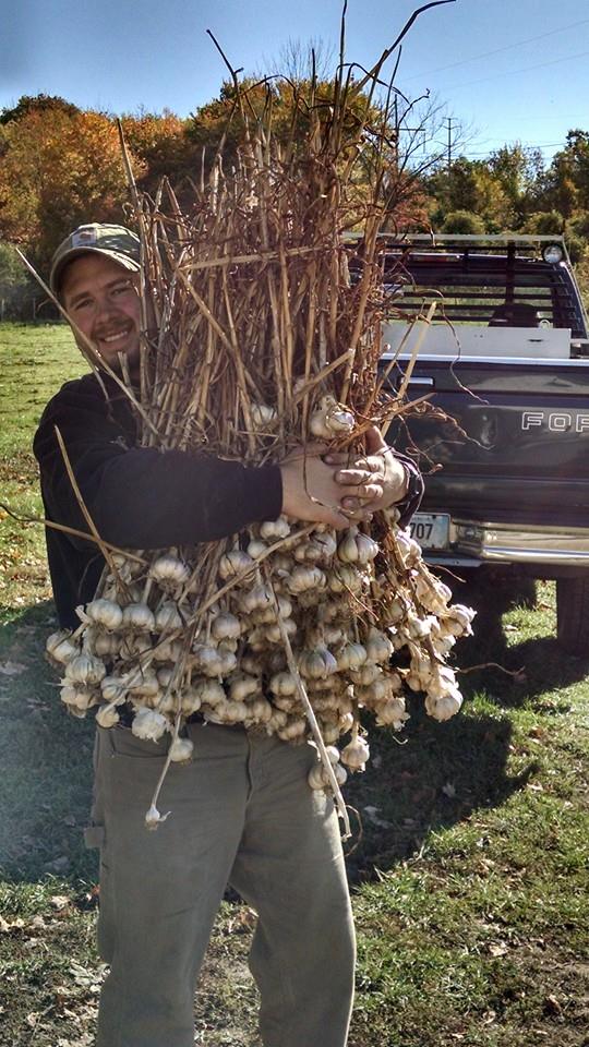  Nick, loves garlic! Especially The Farms hard neck garlic.  Field crew help is a huge part of The Farm.  Harvesting takes lots of time and labor.  One of the most fulfilling jobs at the farm! 