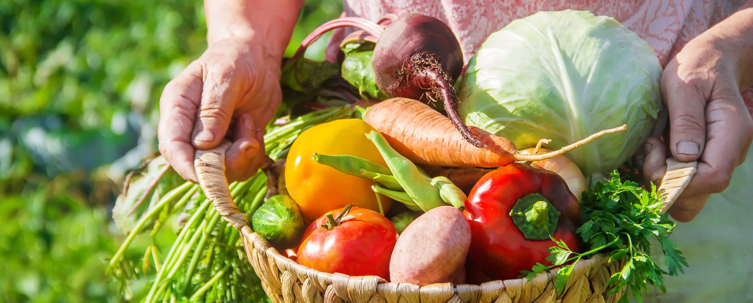 Food Safety regarding Covid 19