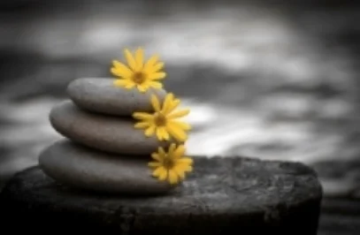 Hot Stones for massage... mmmm, nice!