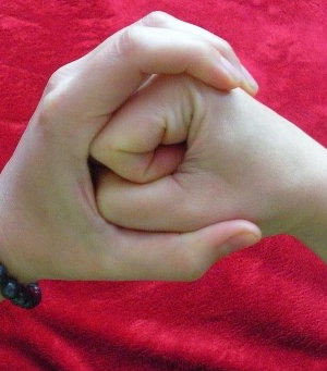 Gratitude Mudra