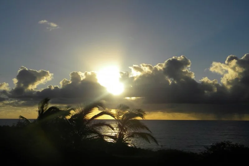 Mahalo to a Lomi colleague, Michael ,in North Carolina for letting me use his gorgeous photo!