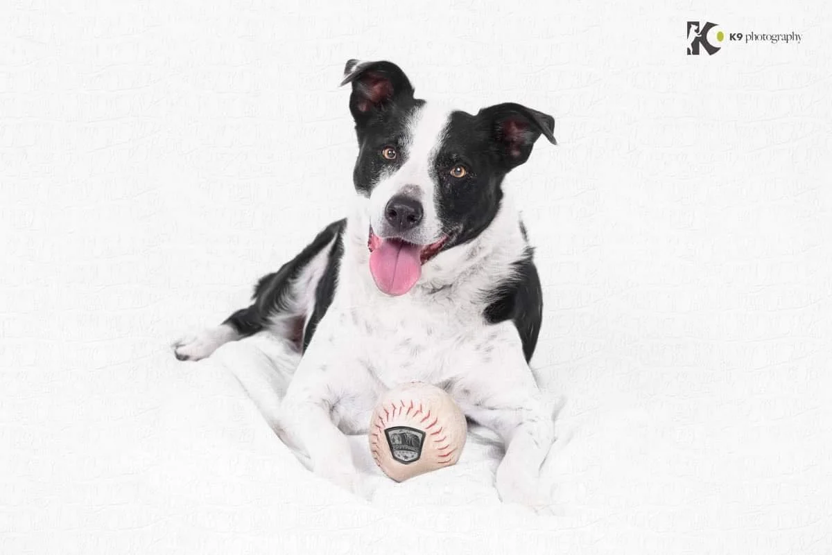Rescue Your Next Best Friend Adopt here — Best Friends Animal Rescue