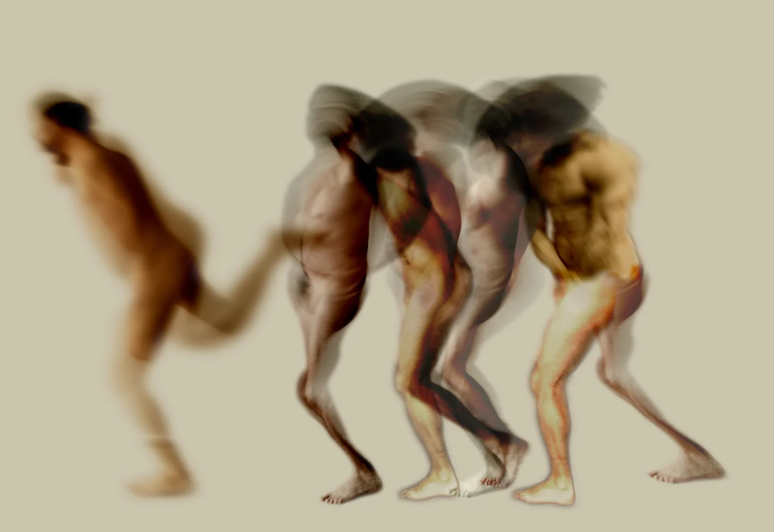 _4Evolution.jpg