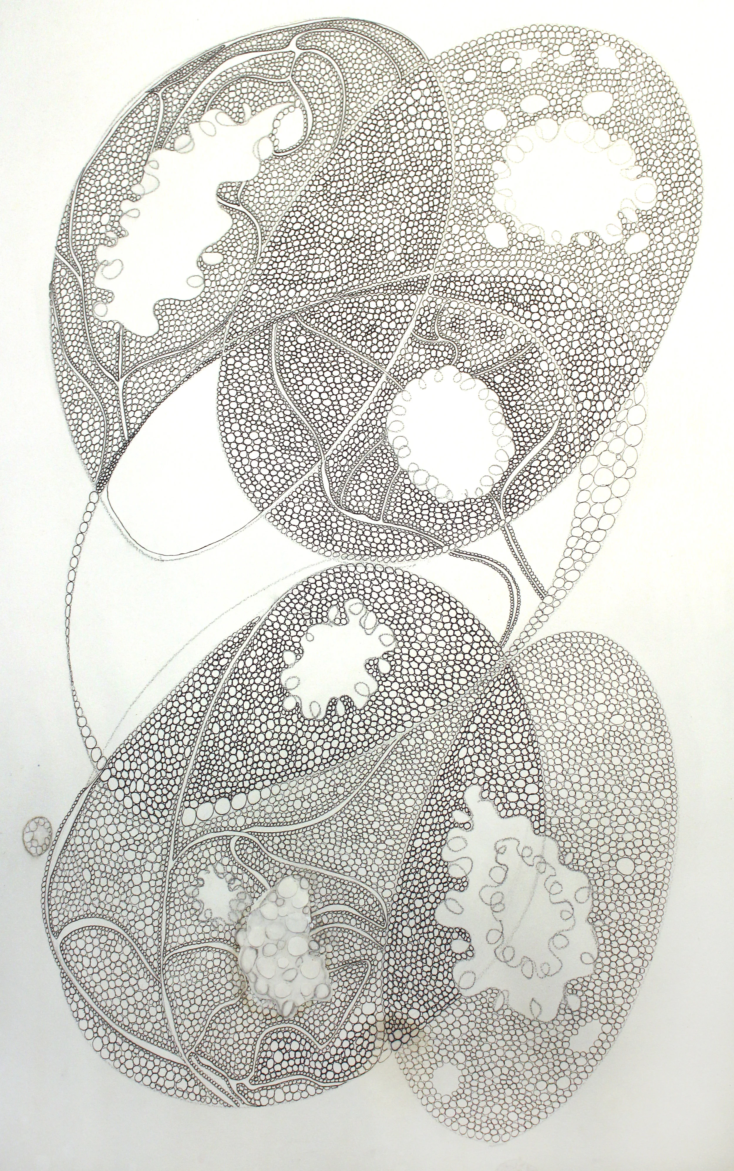 "Caché-caché" 6
