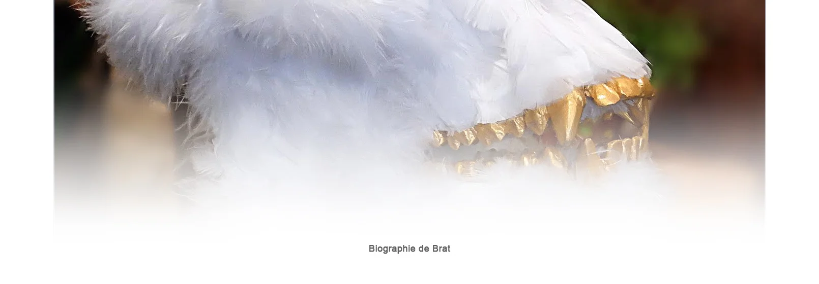 brat-bio.jpg