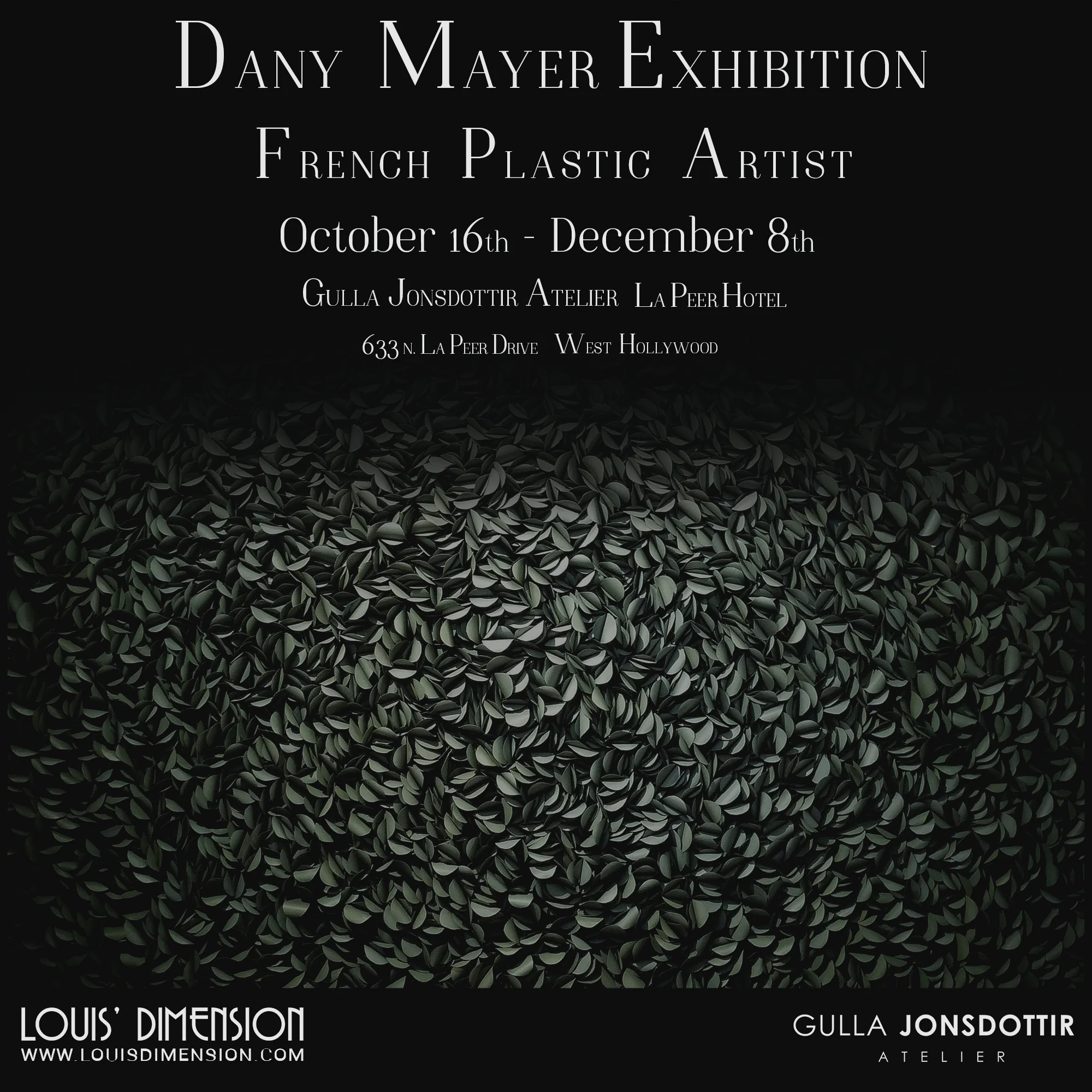 Dany MAYER Exhibition LA