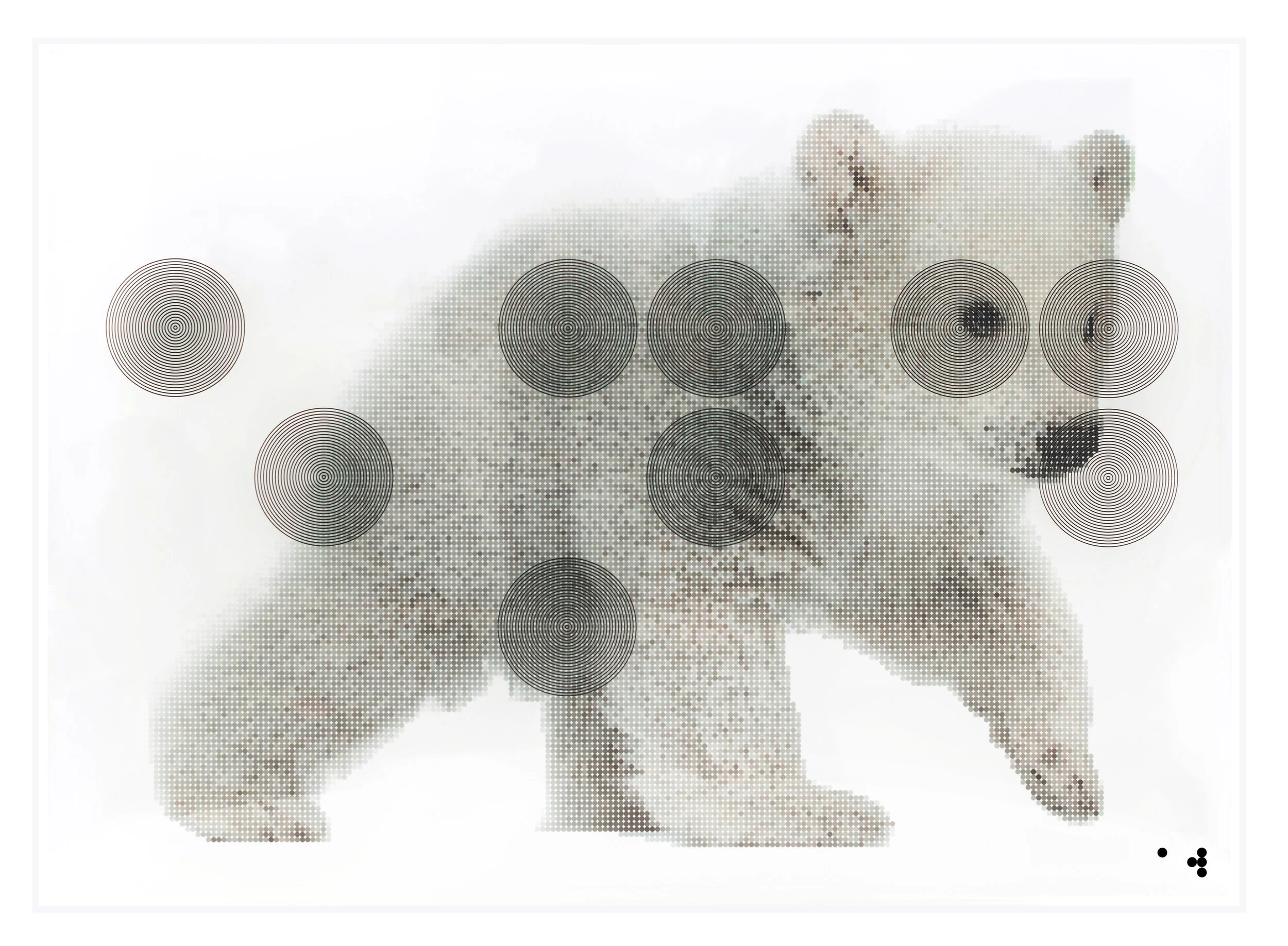POLAR BEAR - Edition 3/5