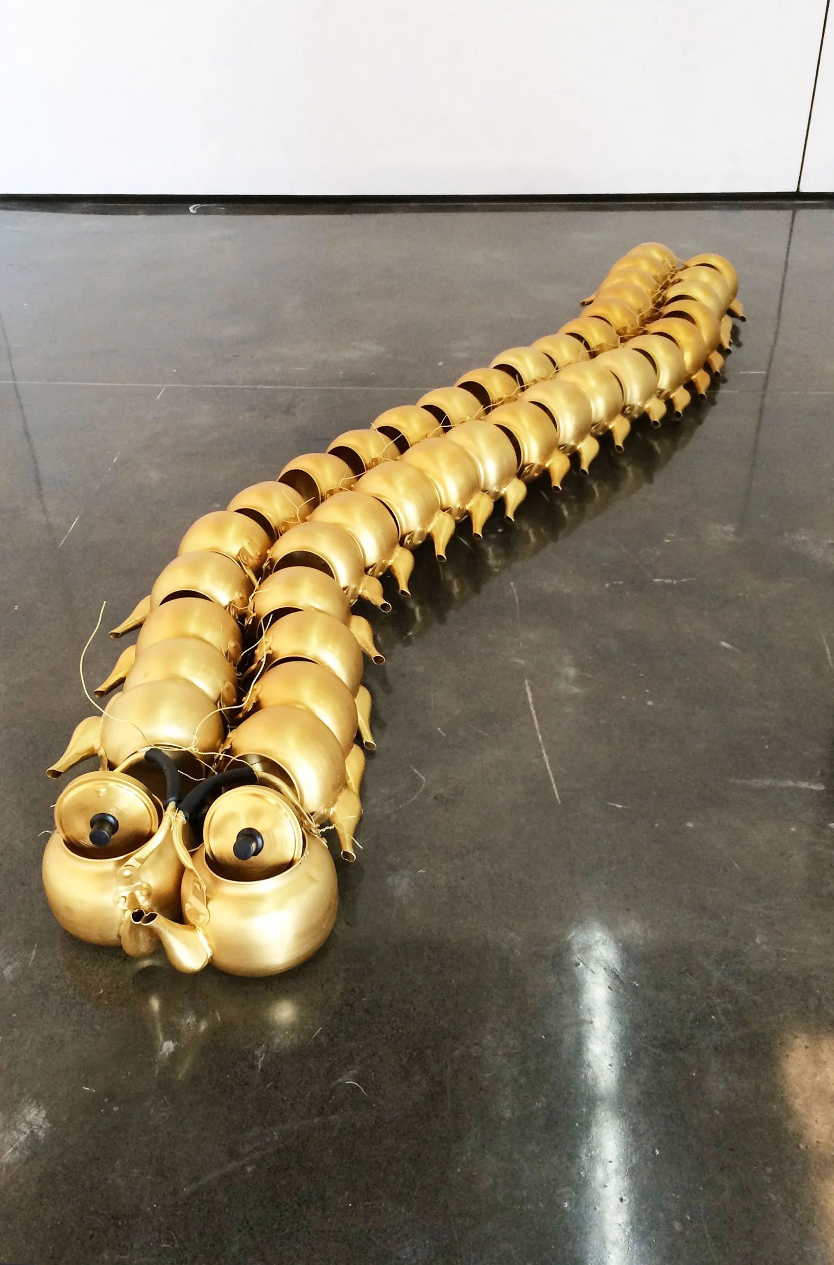 caterpillar.jpg