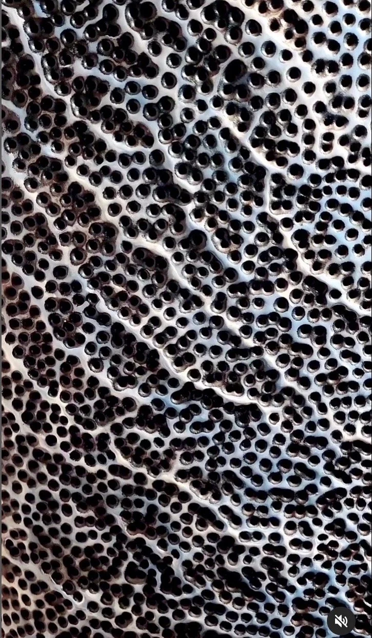 Capture d’écran 2023-03-28 à 11.25.22.jpg