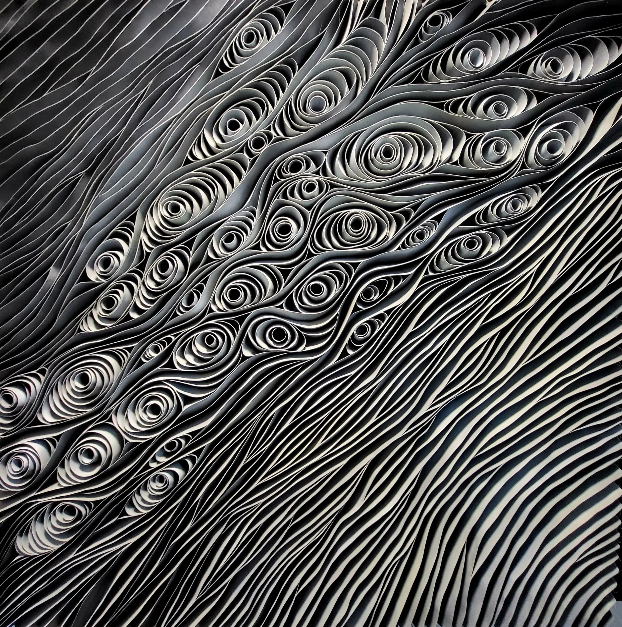 20230901_142851.jpg