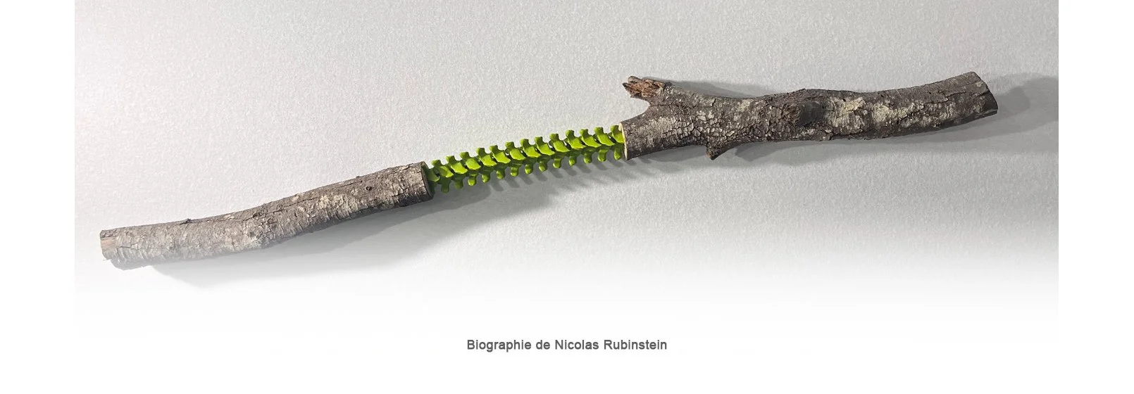 nrubin_bio.jpg