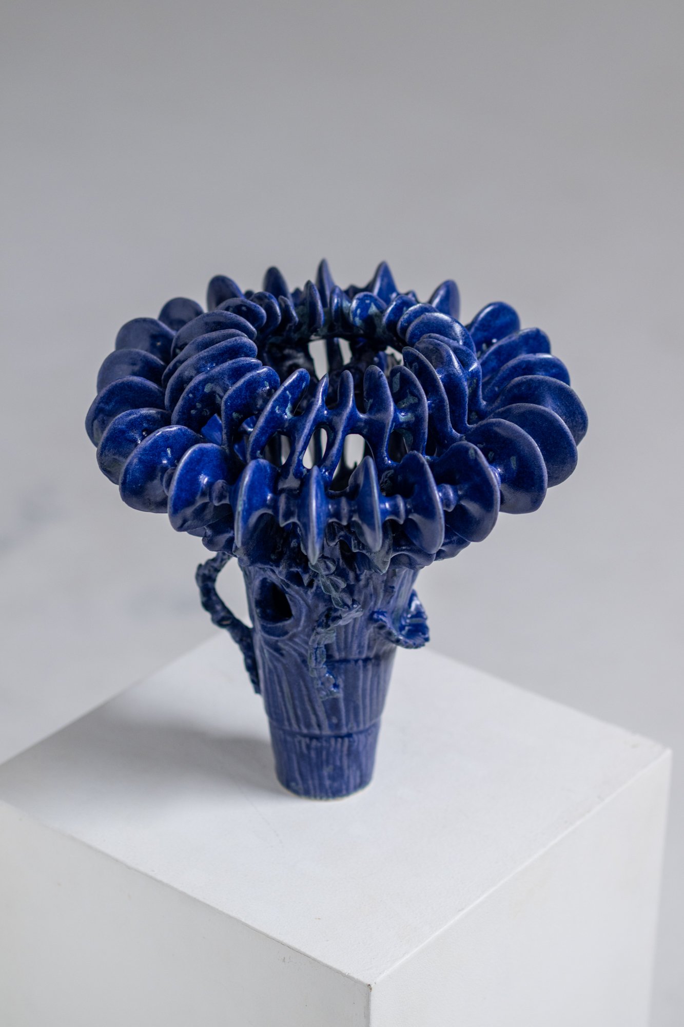 BONEFLOWER2.jpg
