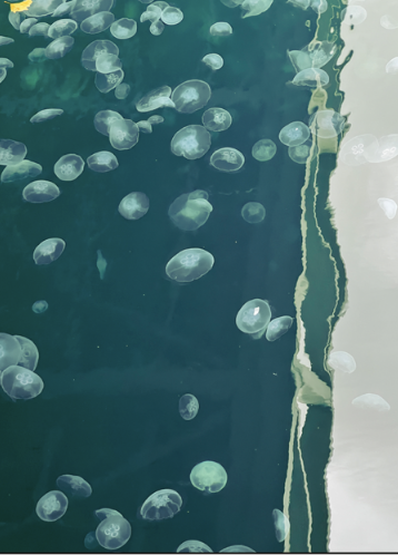 Capture d’écran 2026-01-21 à 18.07.45.png