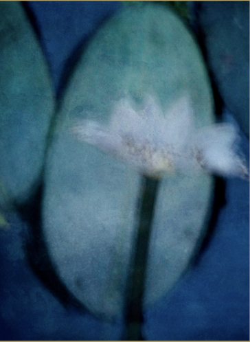 Capture d’écran 2026-01-21 à 18.07.18.png