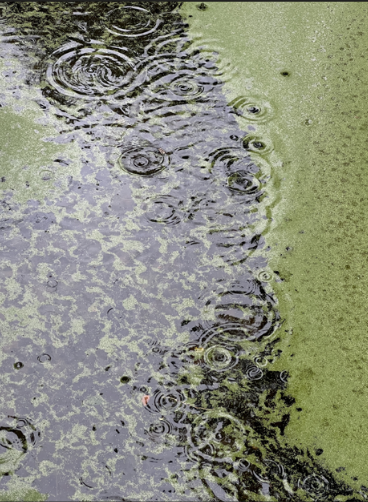 Capture d’écran 2026-01-21 à 18.07.35.png