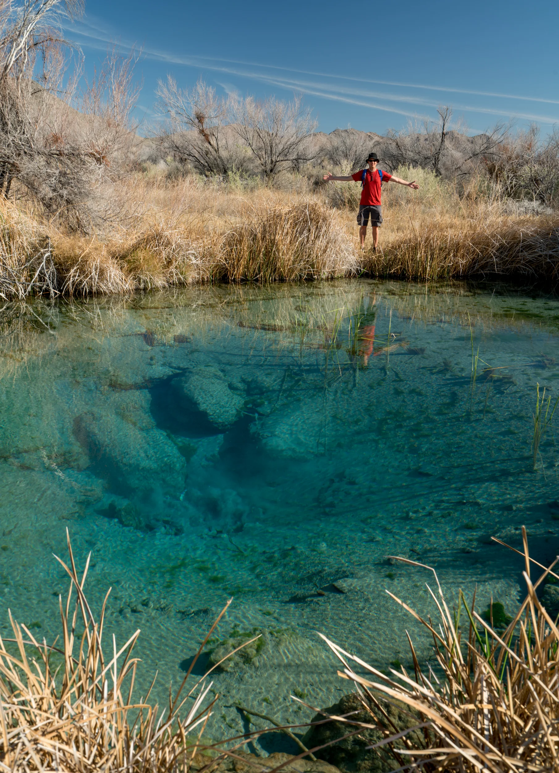 Longstreet Spring, California