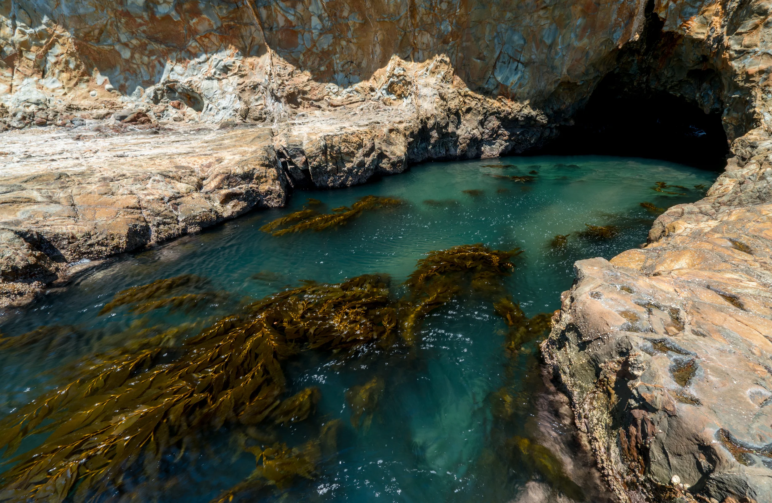 Abalone Cove Shoreline Park, California