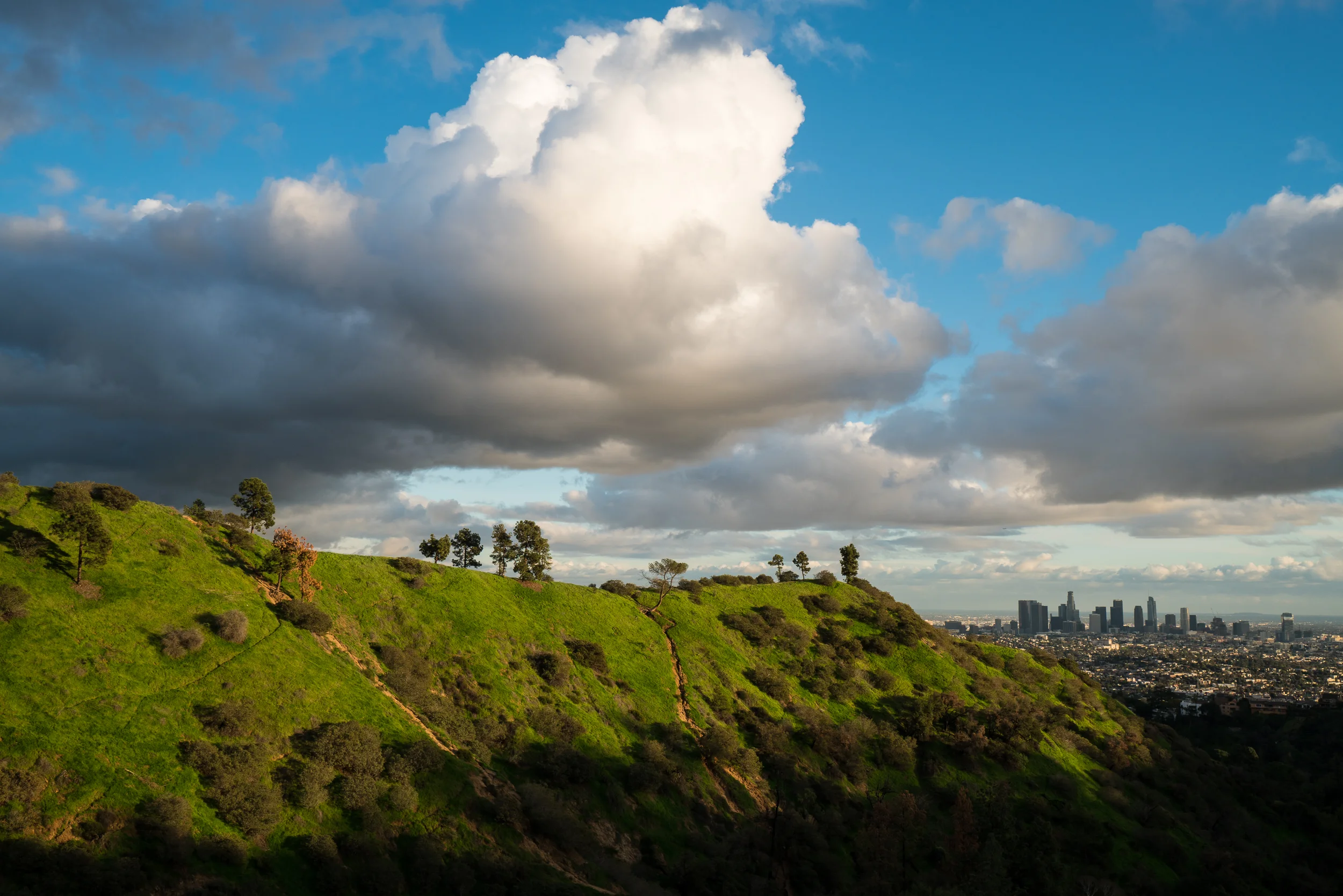 Griffith Park, California