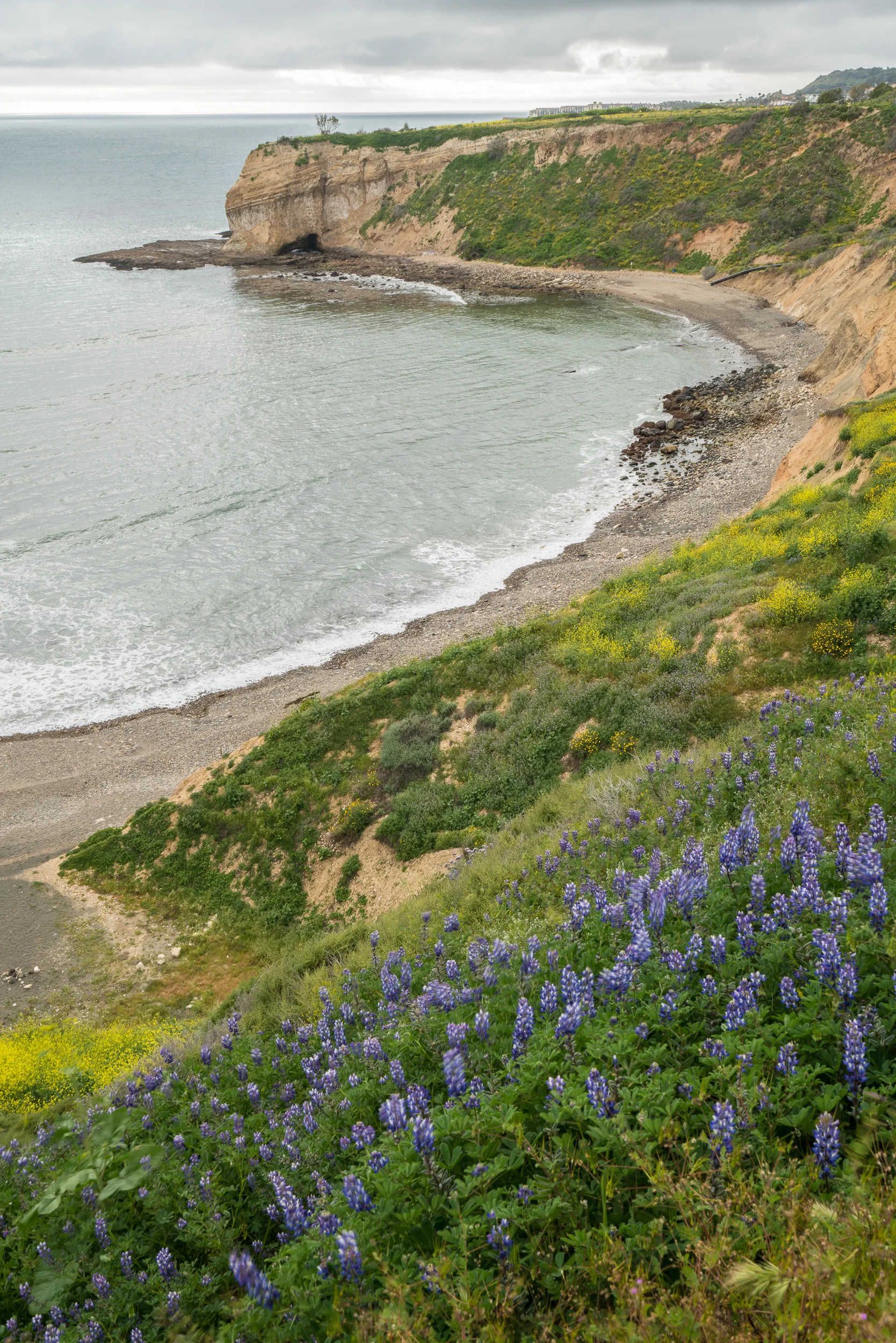 Abalone Cove Shoreline Park, California 2017