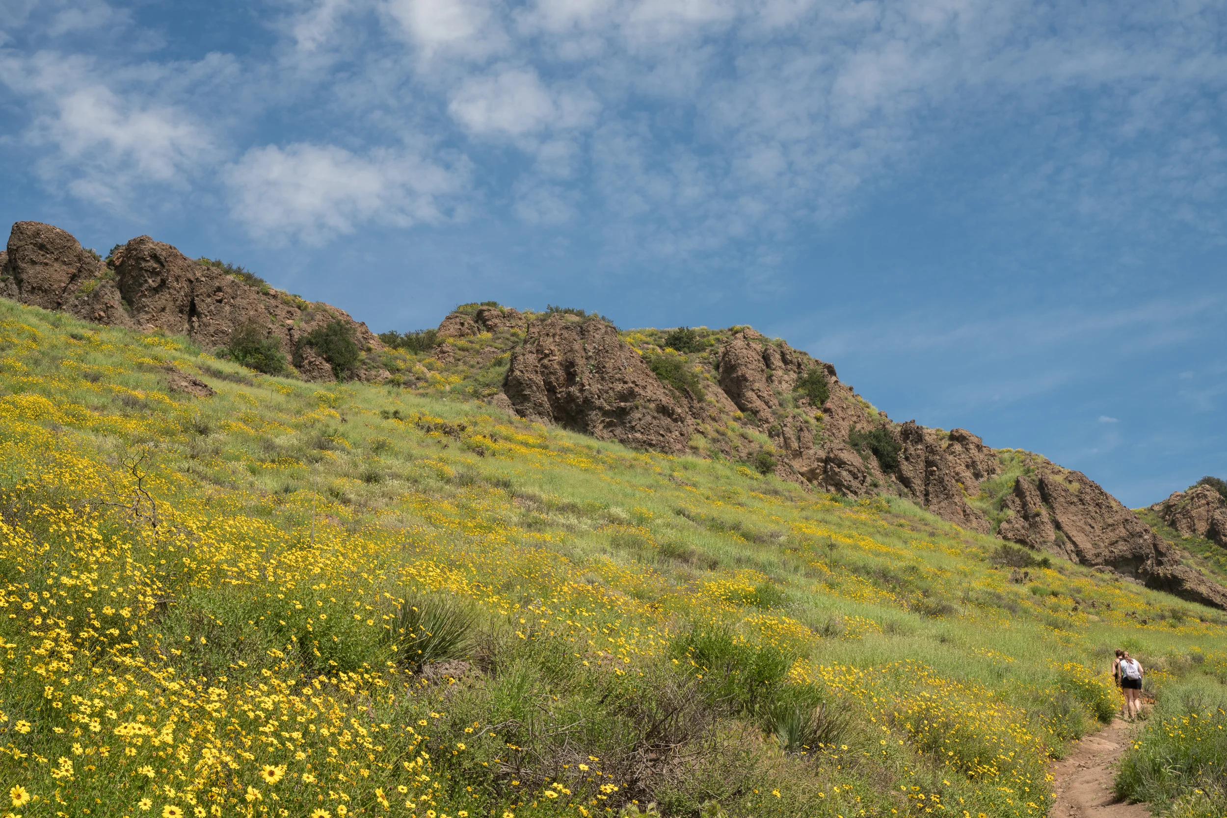 Wildwood Regional Park, California 2017