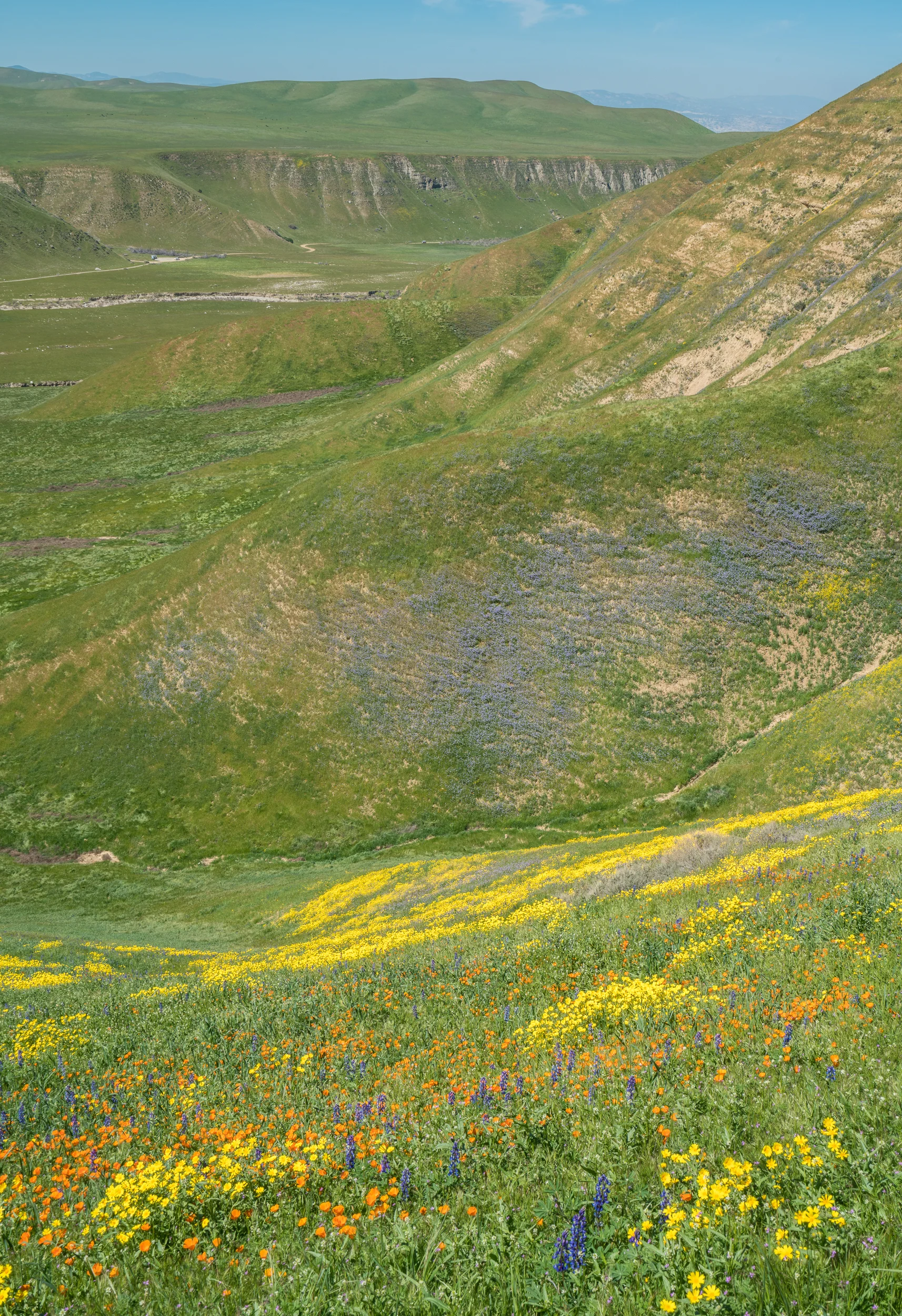 Wind Wolves Preserve, California 2017