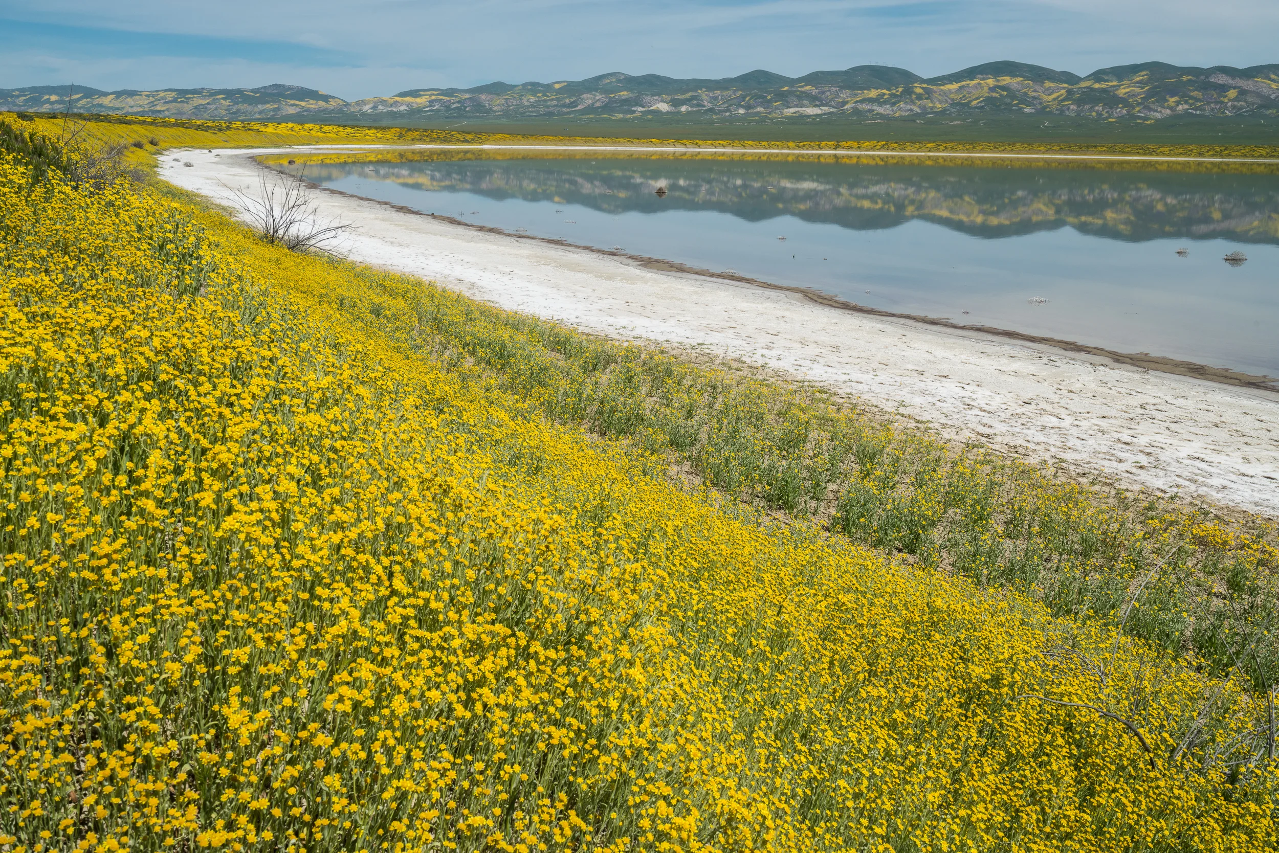 Carrizo Plain National Monument 2017