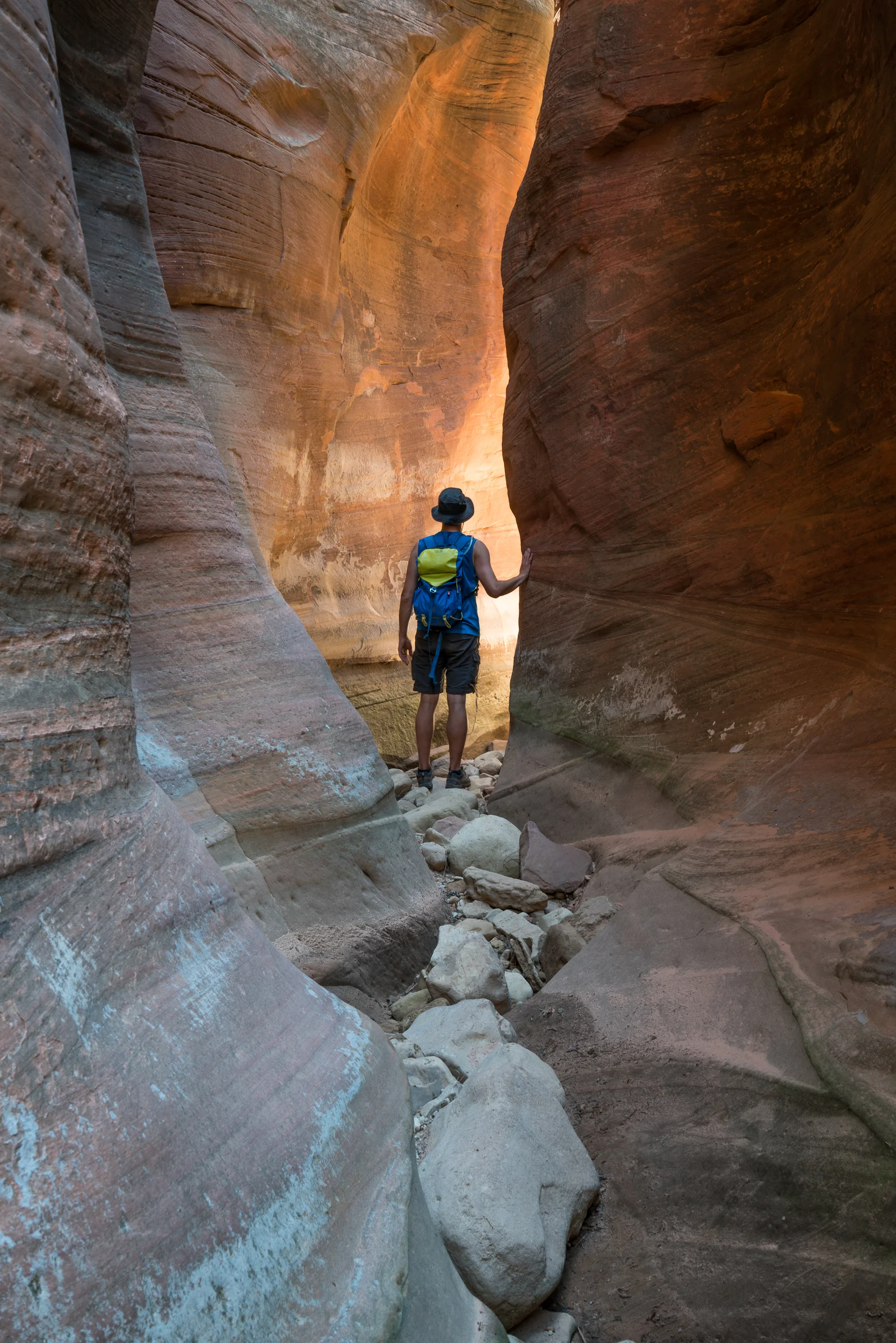 Observation Point, Utah