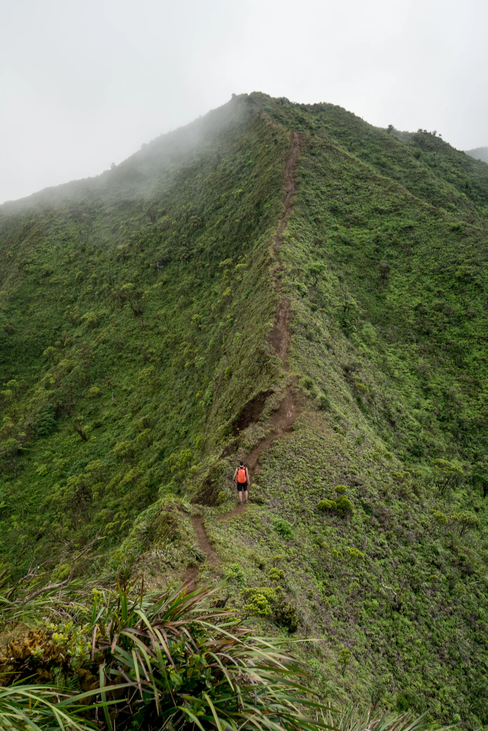 Moanalua Middle Ridge, Oahu