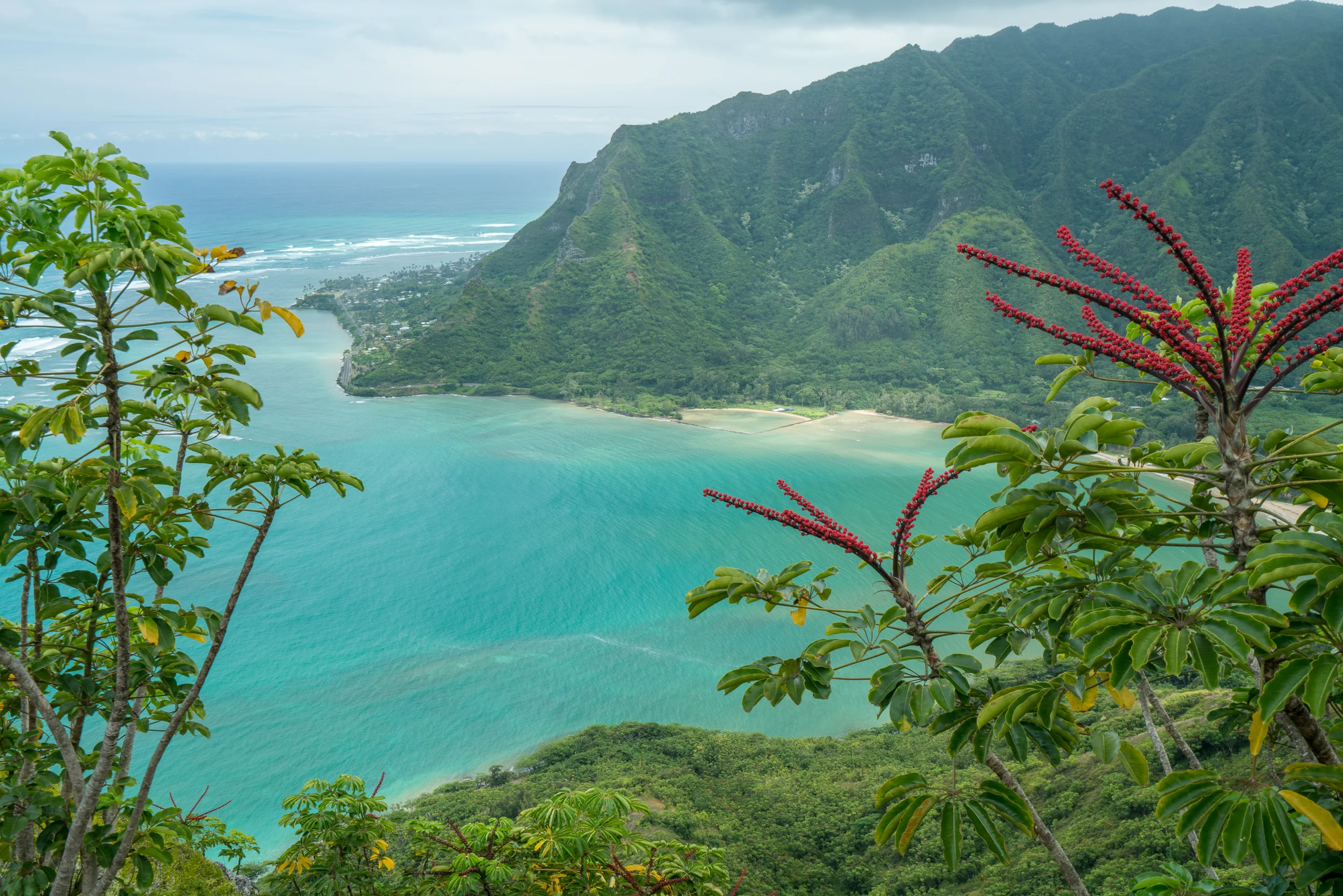 Pu'u Piei, Oahu