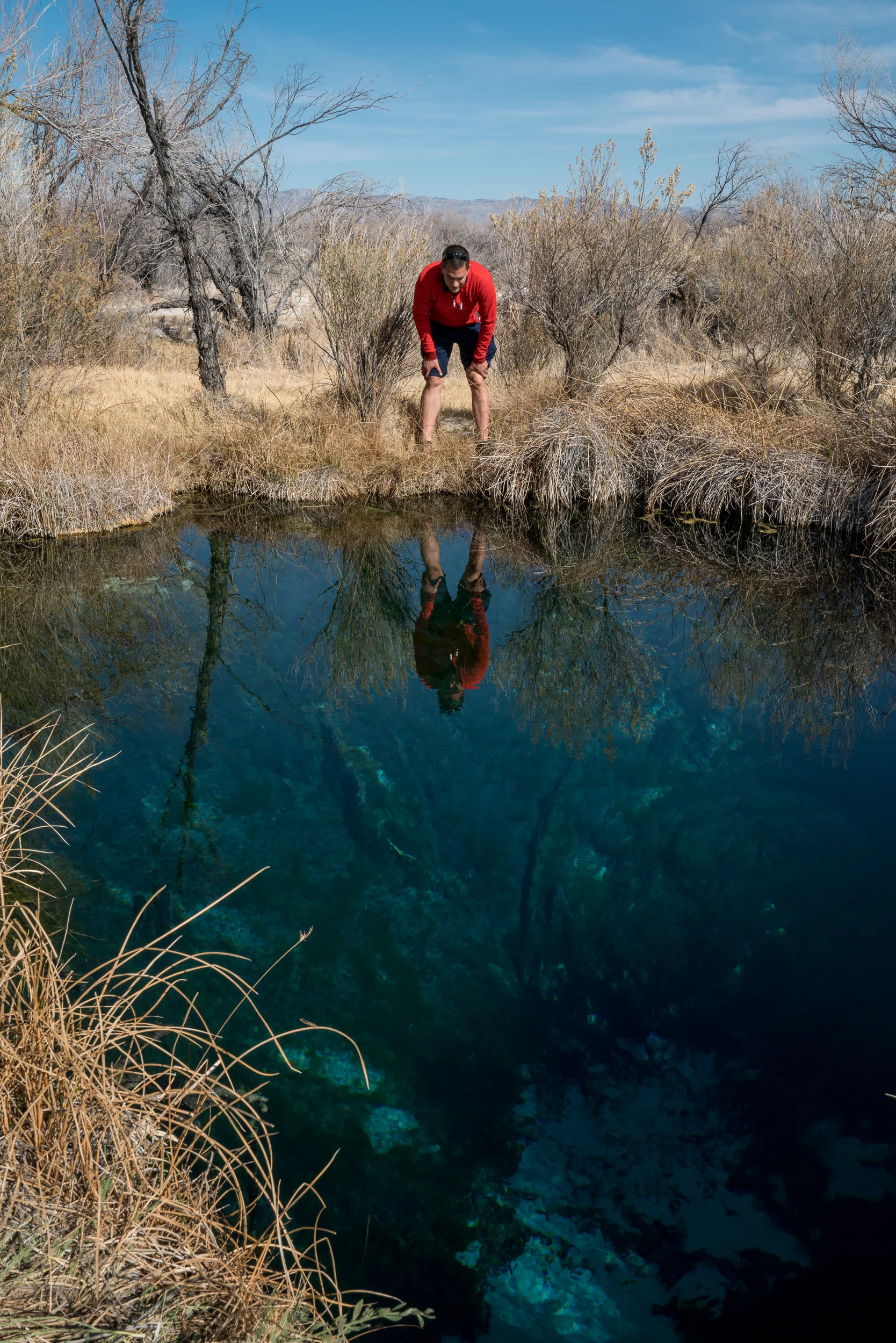 Rogers Spring, California