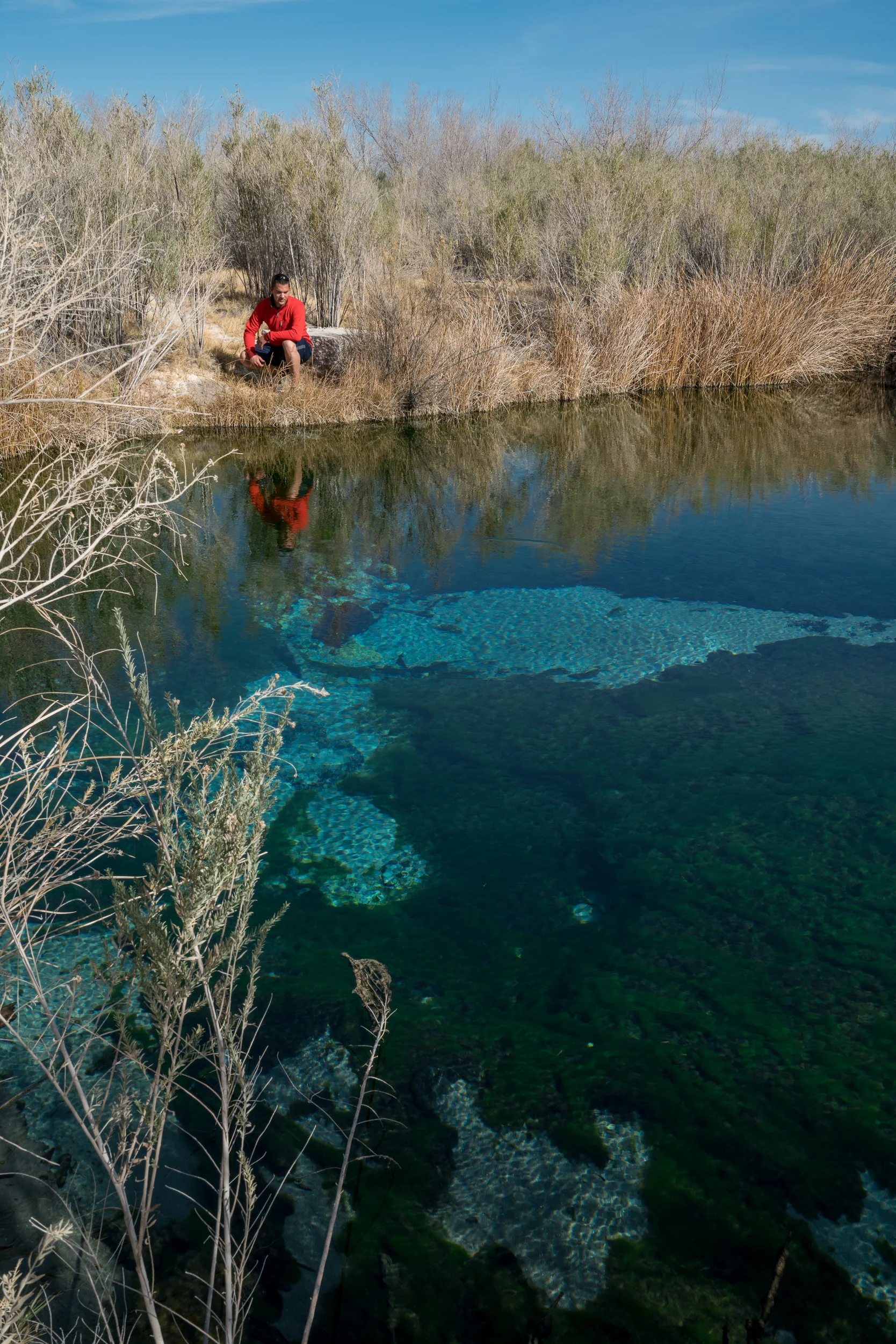 Fairbanks Spring