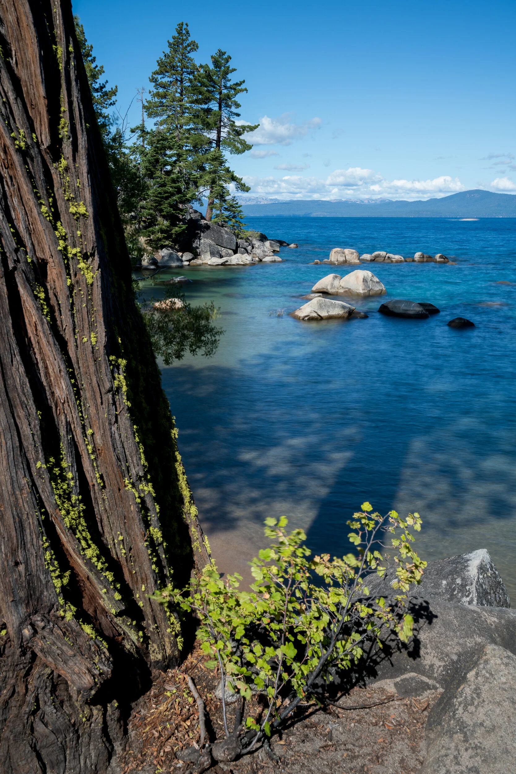 Skunk Harbor, Lake Tahoe