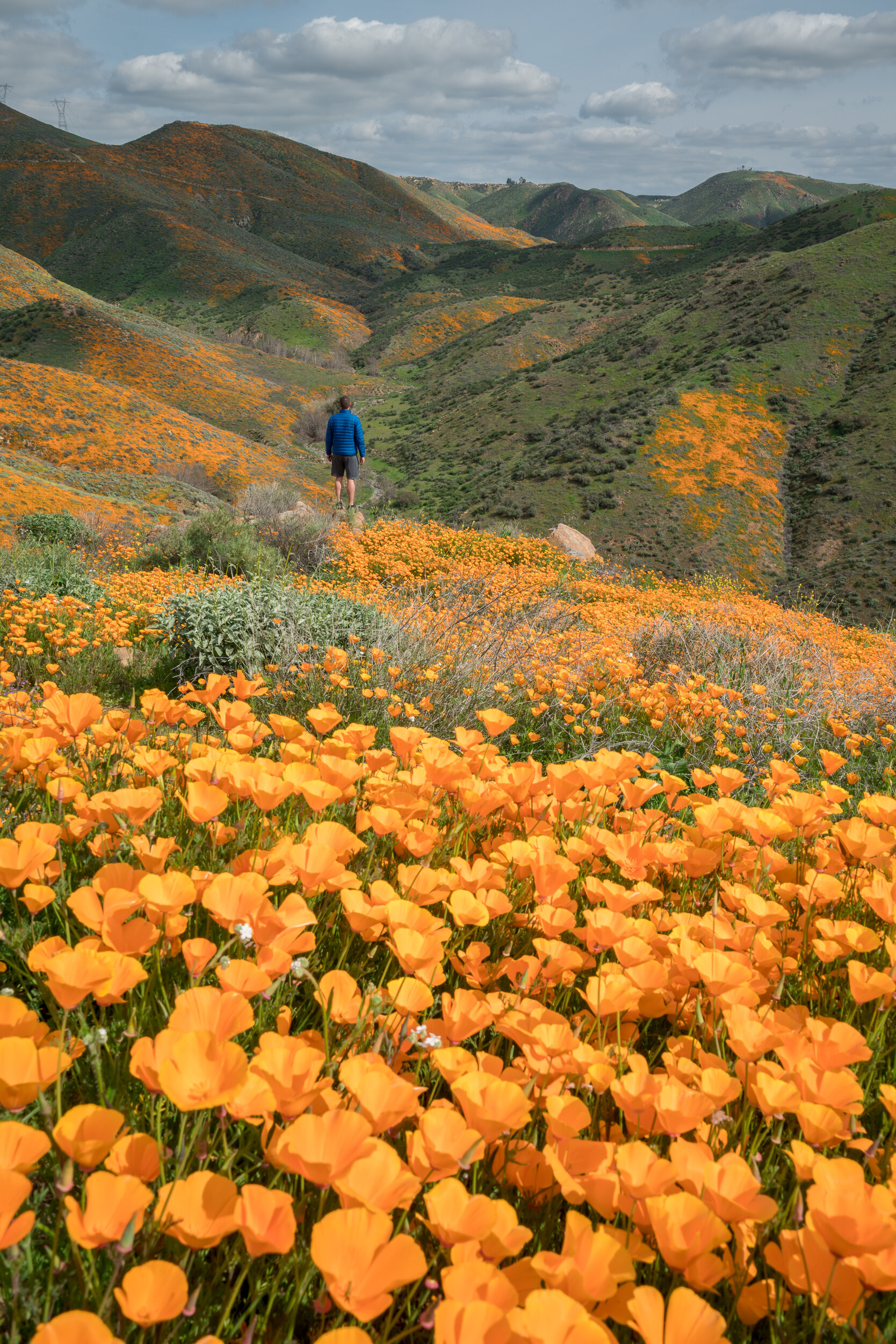 Lake Elsinore, California