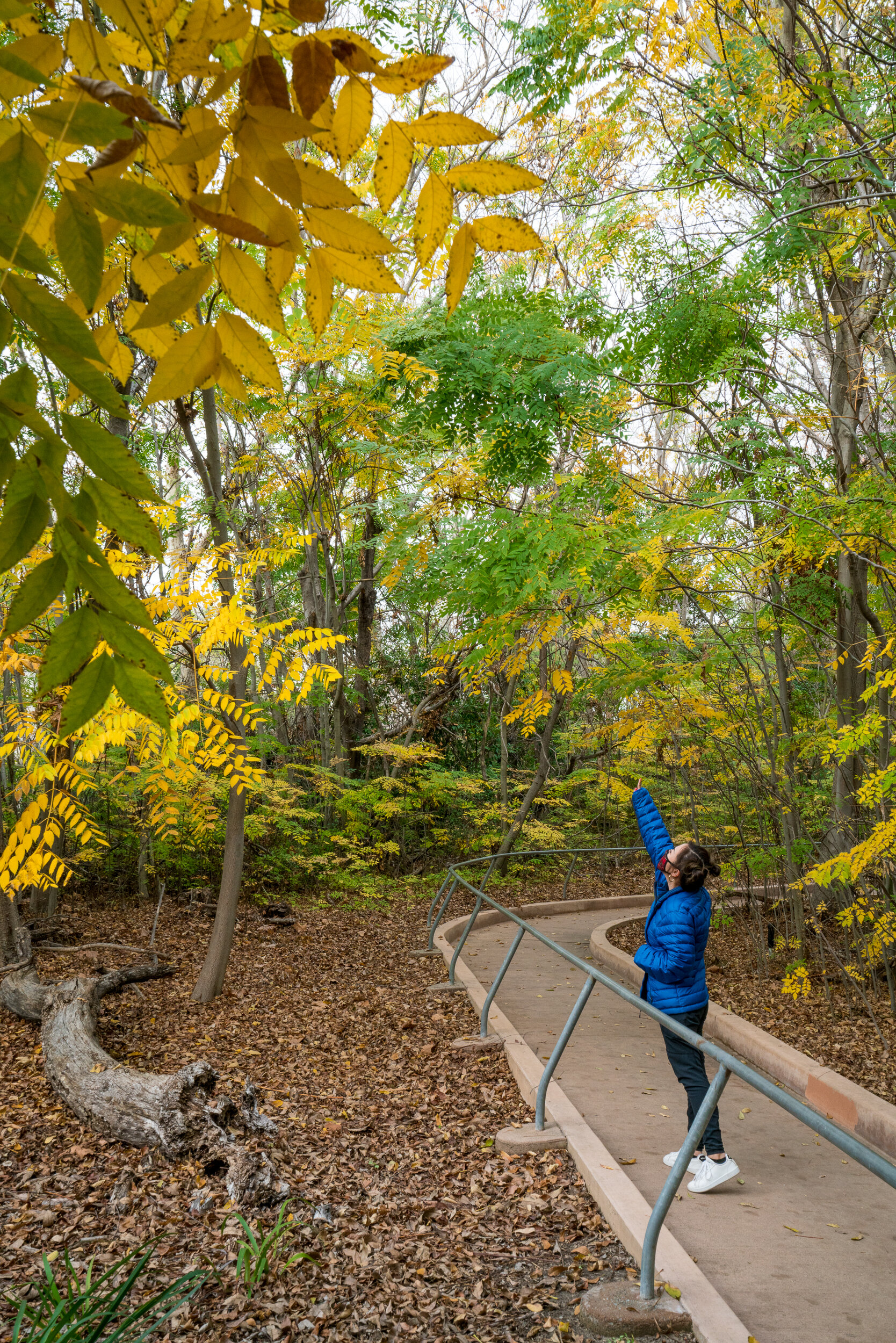 El Dorado Nature Center, California