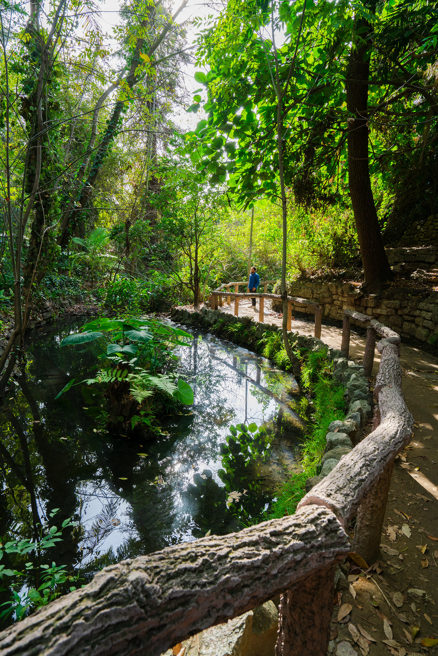 Griffith Park, California