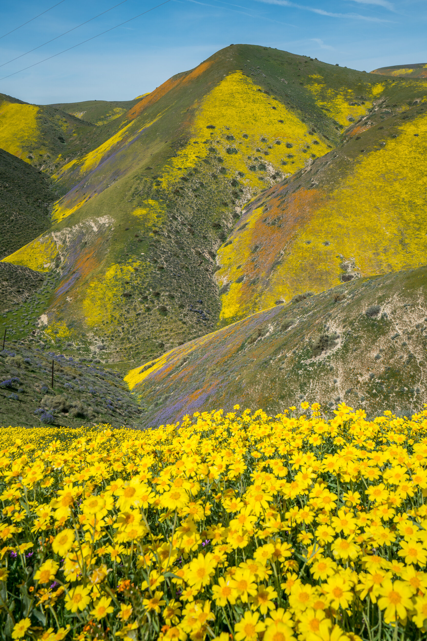 Carrizo Plain National Monument, California