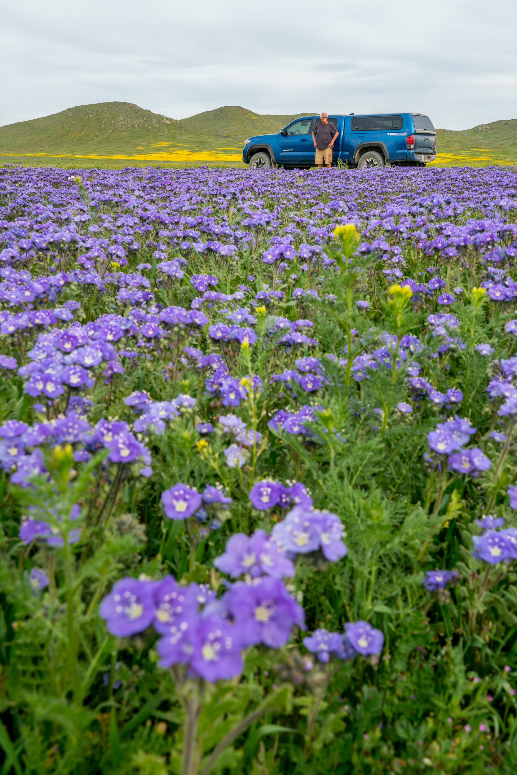 Carrizo Plain National Monument, California