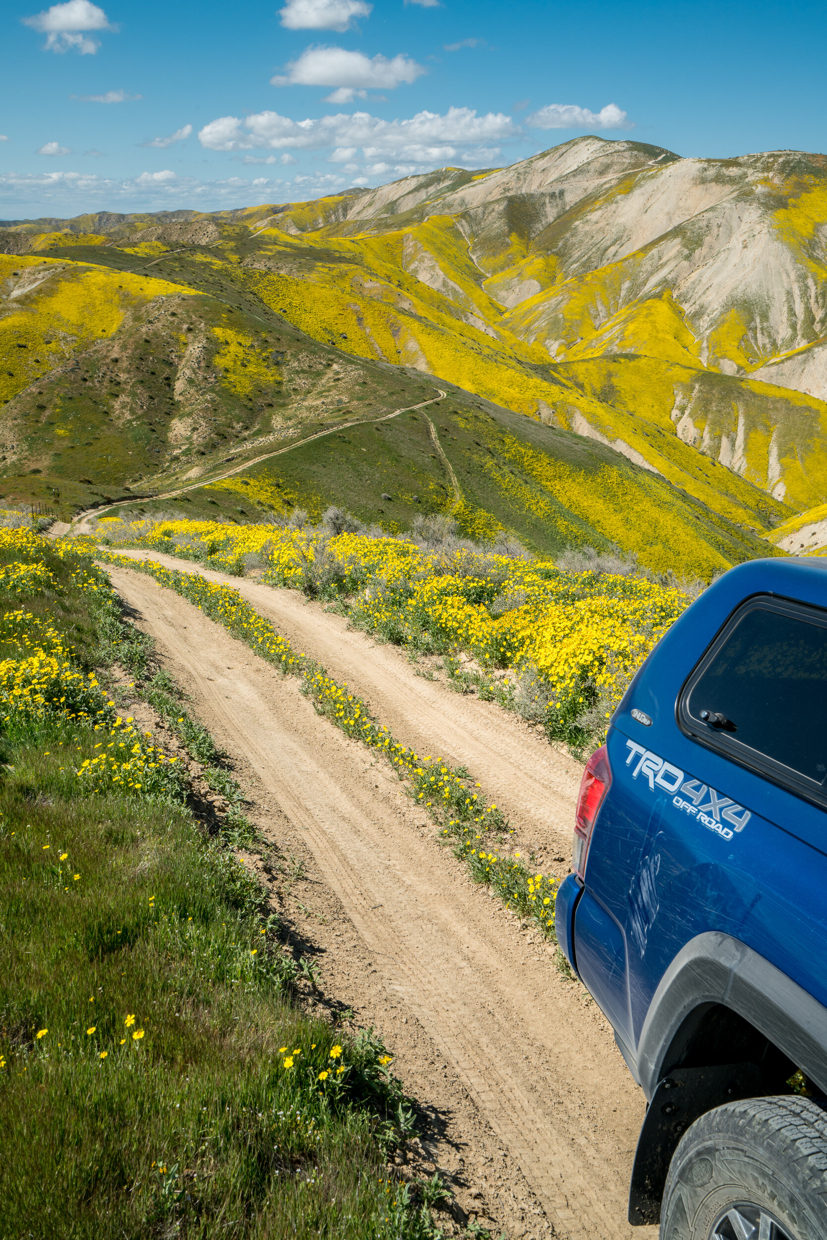 Carrizo Plain National Monument, California