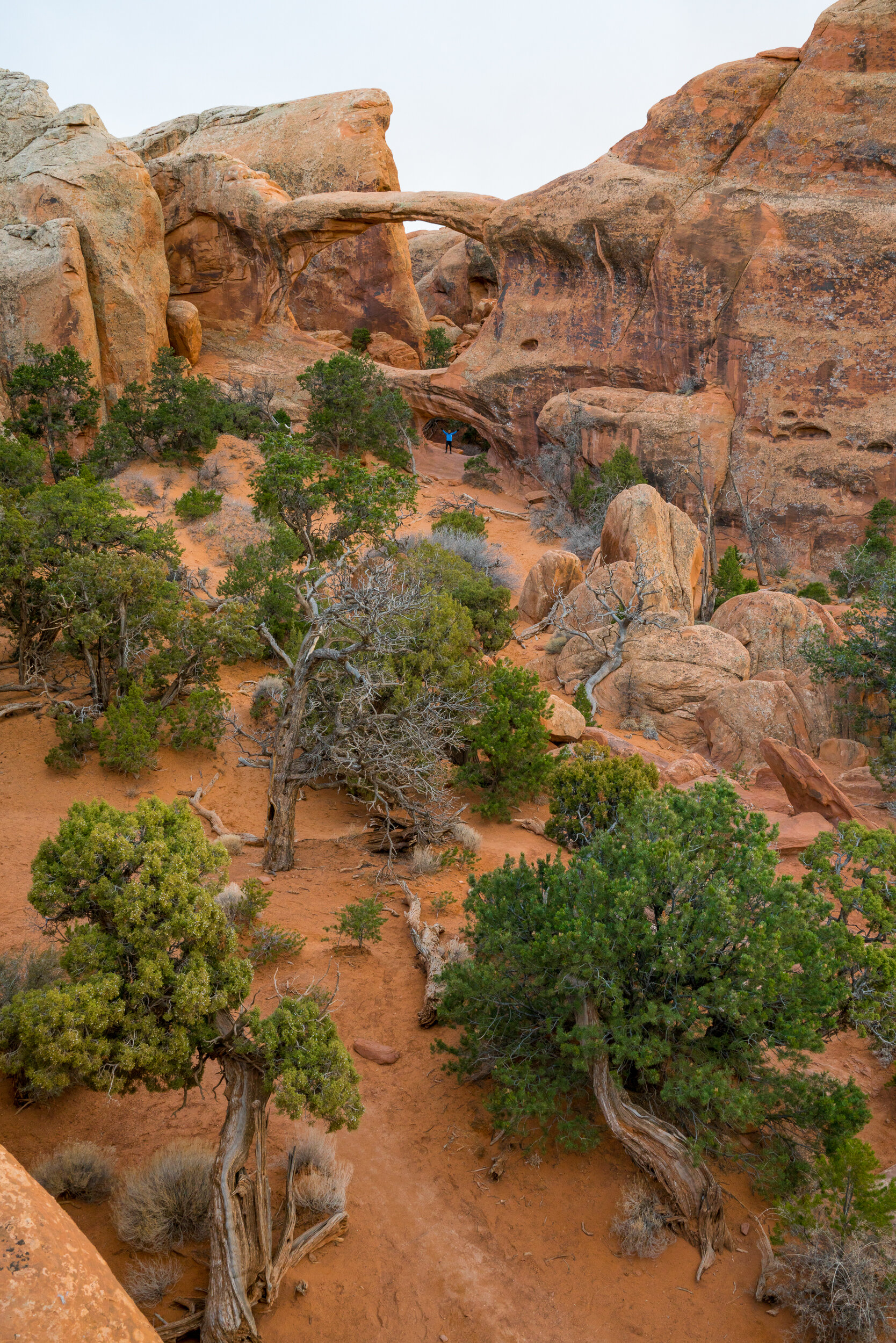 Arches National Park, Utah