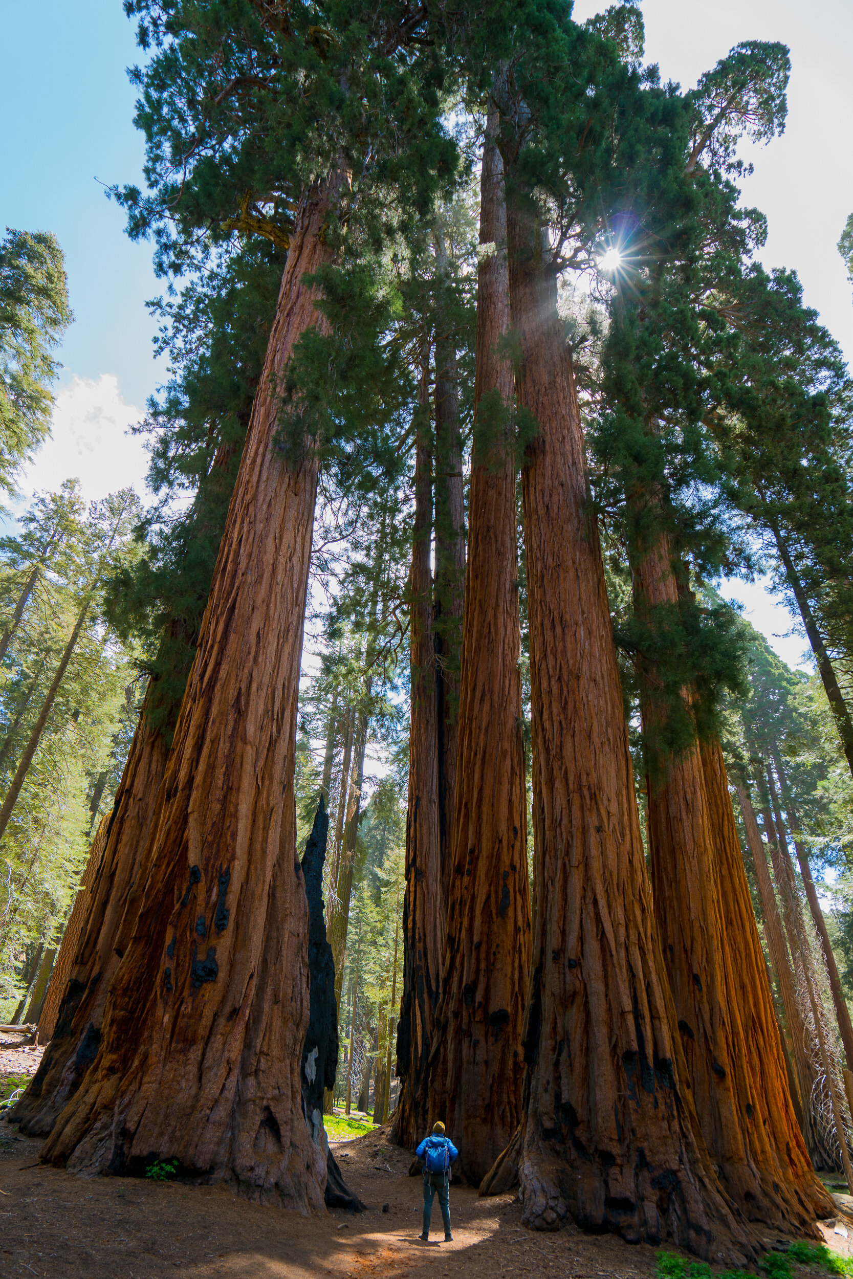 Sequoia National Park, California