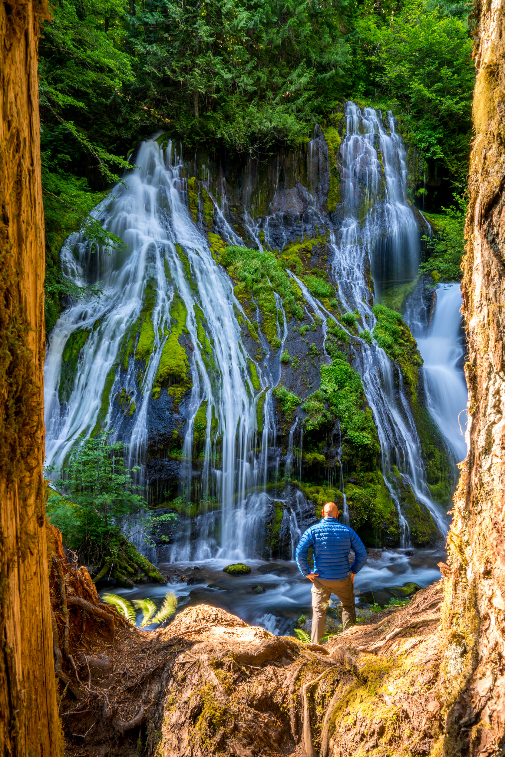 Panther Creek Falls, Washington