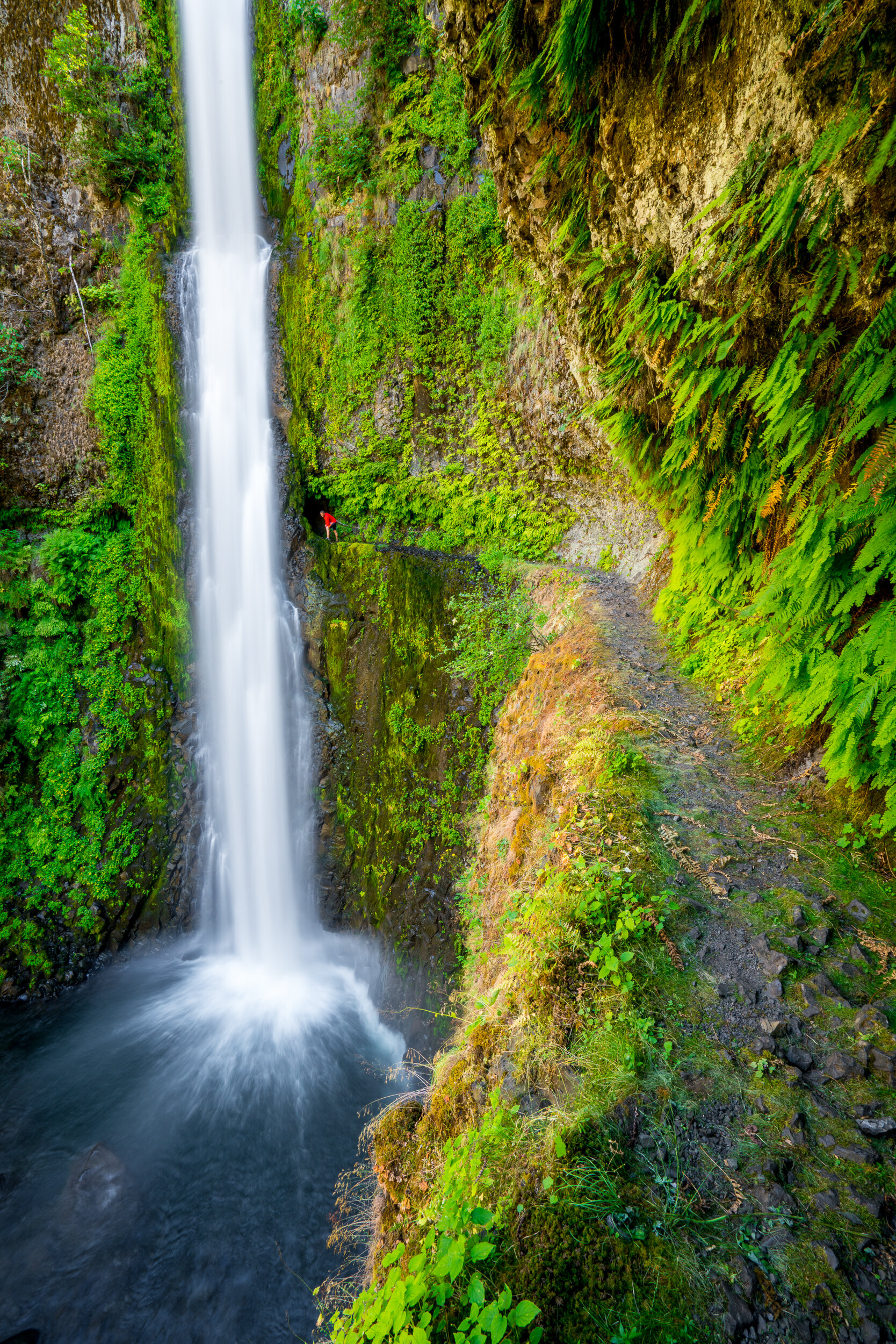 Tunnel Falls, Oregon