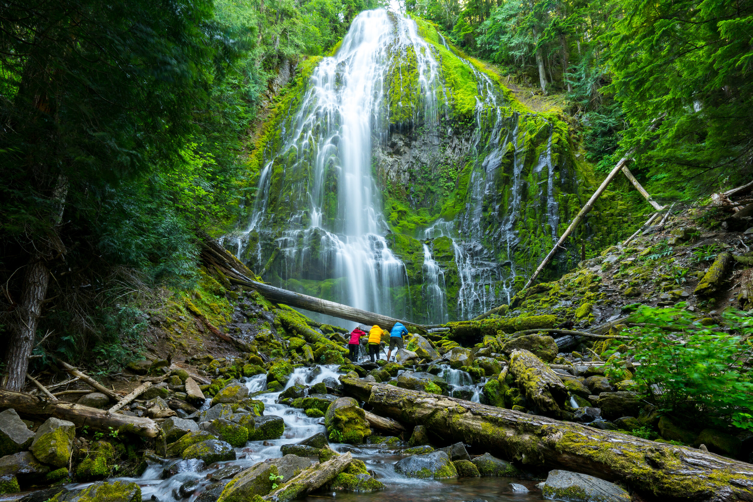 Lower Proxy Falls, Oregon