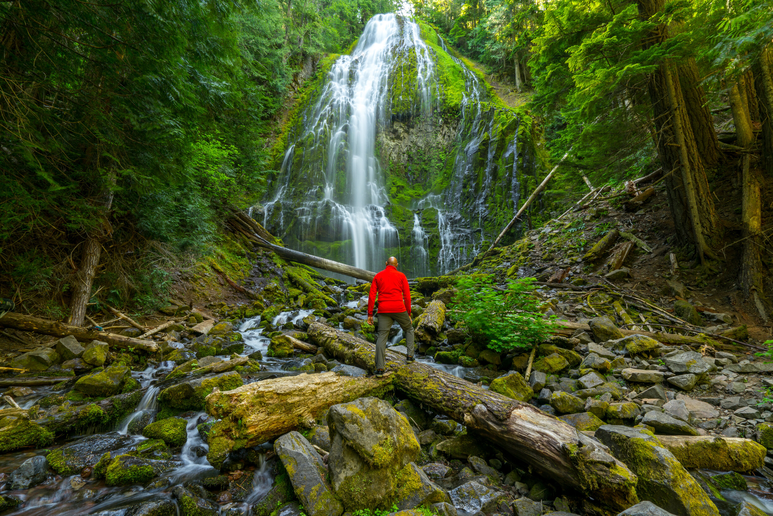 Lower Proxy Falls, Oregon