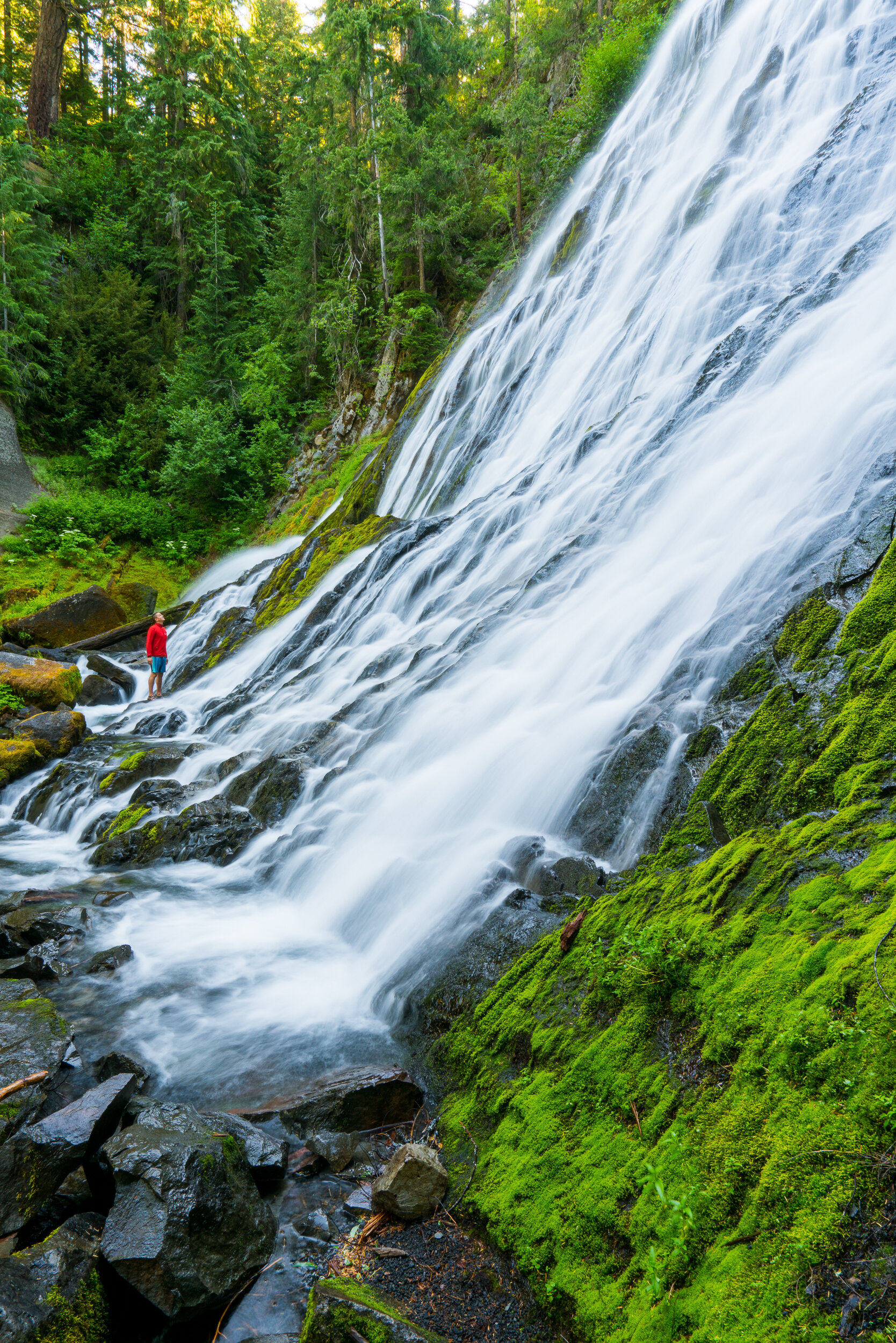 Diamond Creek Falls, Oregon